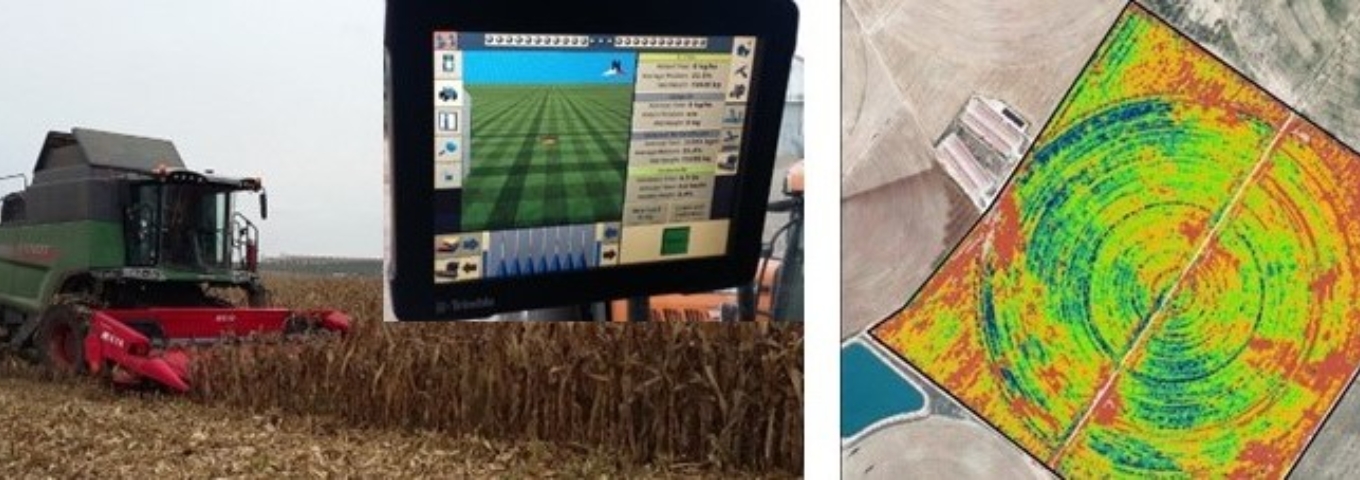 Transformació Digital de l'Agricultura Transformació Digital de l'Agricultura